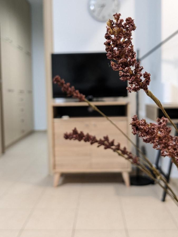 Cozy Apartment Near The City Centre Iraklion Buitenkant foto